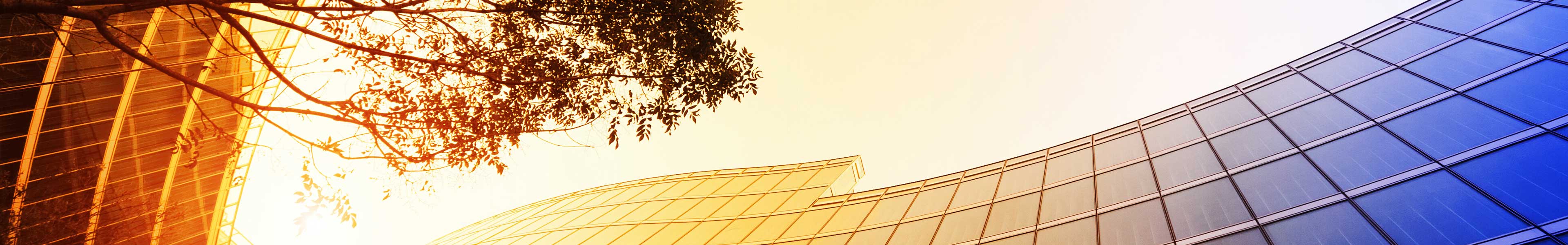 immagine di copertina Home